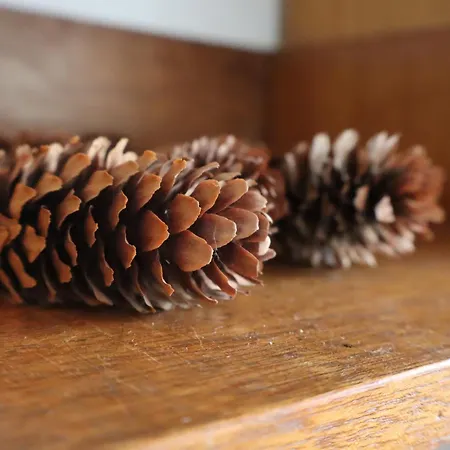 別荘 Le Minerai, Maison De 6 Couchages, Avec Jardin & Parking, Wifi - Lares *