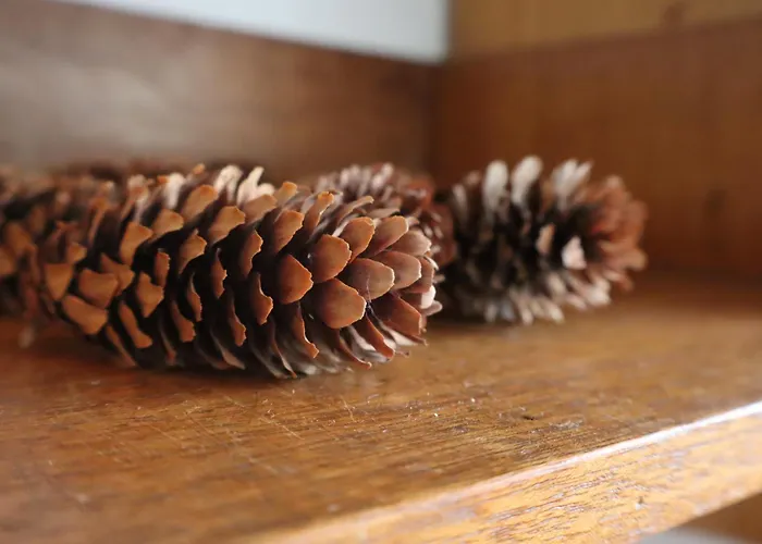 Ferienhaus Le Minerai, Maison De 6 Couchages, Avec Jardin & Parking, Wifi - Lares *